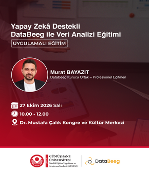 Yapay Zeka Destekli DataBeeg ile Veri Analizi Eğitimi